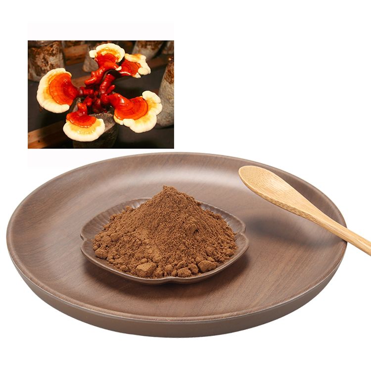 Get Ganoderma Lucidum Extract Powder High Potency - Boost Vitality Naturally
